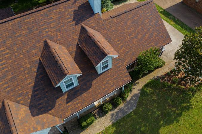 Roofing Expert